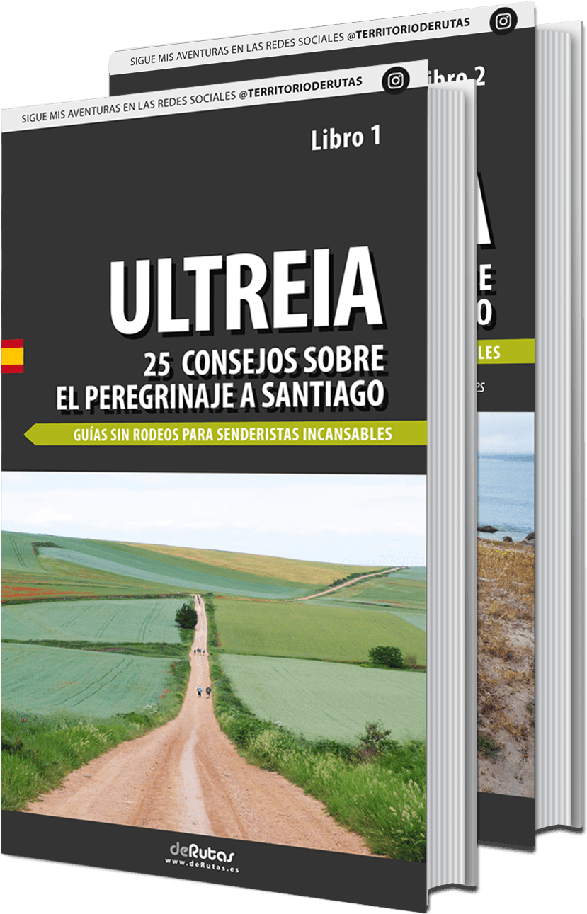Libro_Ultreia_Et_Suseia
