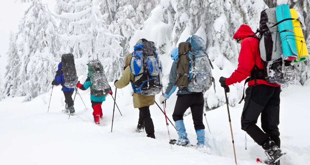 Bastones de trekking