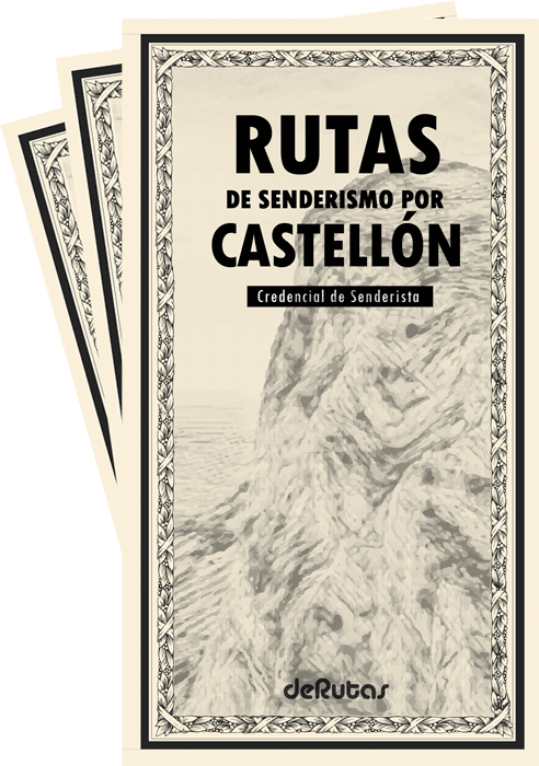 Credencial-Castellon